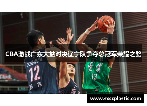 CBA激战广东大益对决辽宁队争夺总冠军荣耀之路